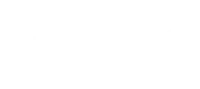 Brightlocal Partner Badge